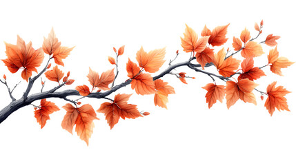 realistic maple tree branch with leaves, isolated on white background