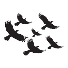 Obraz premium Birds in flight clipart on a white background