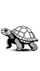 Fototapeta premium Detailed black and white line drawing of a realistic tortoise with textured and legs, showcasing natural animal features and intricate design elements