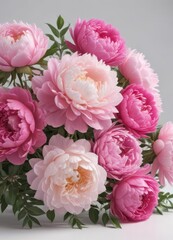 Vibrant pink peonies & roses bouquet, white backdrop  Copy space , macro, marketing, nature
