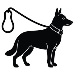isolated police k9 leash on white background 