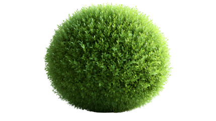 Perfectly round green bush, realistic 3D, isolated on white background