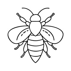 bee icon, bee line art - simple line art of bee, perfect for bee logos and icons