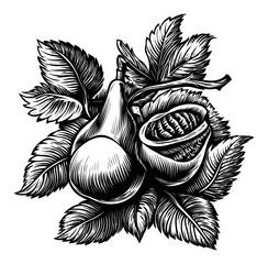 Detailed Black and White Engraving of Pear and Passion Fruit Design