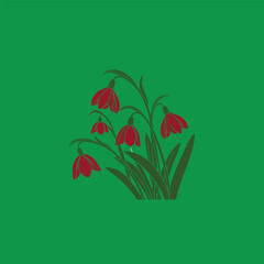 vector illustration of a red flower