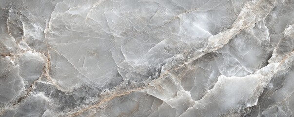Fototapeta premium Abstract Background of Gray Marble Texture with White Veins Detailed Pattern