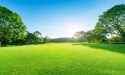 Generated Image　5月　森　新緑　木々　風景　朝の光　緑　葉　輝き　森林浴　清々しい　雰囲気　奥行き　木漏れ日　芝生　苔　自然　美しい　癒し　景色　澄んだ　豊か　公園　風景　風　木陰　明るい　心地よい　初夏　空気　ピクニック　明るい　開放的　里山　山　鮮やか　生命力　のどか　穏やか　自然の恵み　日本　涼しい　爽やか