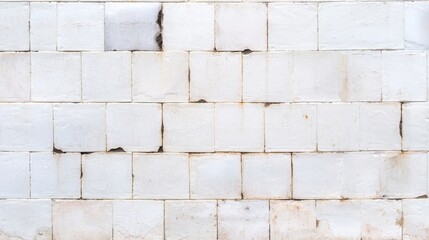 Damp Bathroom Wall Texture Featuring White Tiles with Black Mold and Water Stains