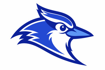 Blue Jay Head Outline Vector Illustration