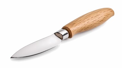 Fototapeta premium Wooden-handled knife, studio shot, white background, kitchen utensil