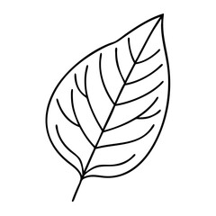 Fototapeta premium green leaf icon, green leaf line art - simple line art of green leaf, perfect for green leaf logos and icons