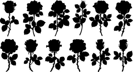 Rose Silhouettes Vector Set: Flowers, Buds, Leaves