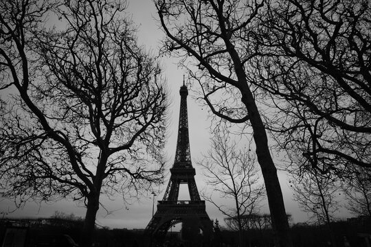 Eiffel Tower in Paris, Black and White - Powered by Adobe