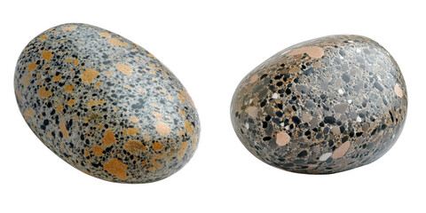 Unique Textured Eggs with Distinctive Patterns and Natural Colors