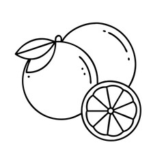 limes icon, limes line art - simple line art of limes, perfect for limes logos and icons
