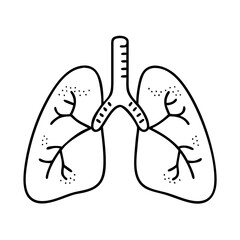 lungs for breathing exercises icon, lungs for breathing exercises line art - simple line art of lungs for breathing exercises, perfect for lungs for breathing exercises logos and icons