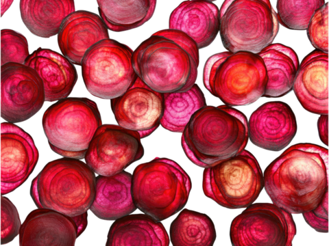 Vibrant Red Beetroot Slices Background: A Close-Up Macro Photograph of Thinly Sliced Beetroot Showing Intricate Details and Rich Colors
