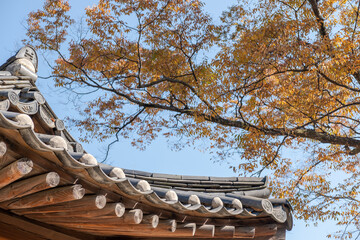 Korean Traditional Building in Secret Garden or Huwon of Changdeokgung Palace with ceautiful autumn...