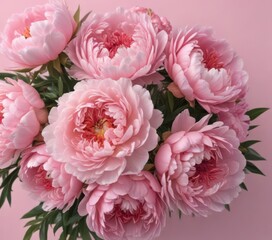Fototapeta premium Tightly packed pink peony bouquet, soft pink background, petals, picture