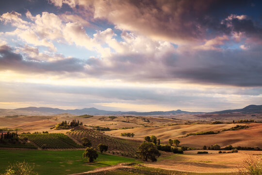 Valley and rolling landscape in summer at sunrise, Tuscany, Italy