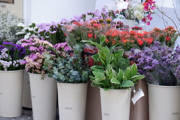 Vibrant Blooms in White Buckets A Colorful Flower Display