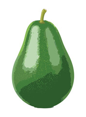 Fresh Green Avocado Fruit - Vector Illustration