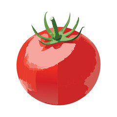 Fresh of Tomato Fruit - Vector Illustration