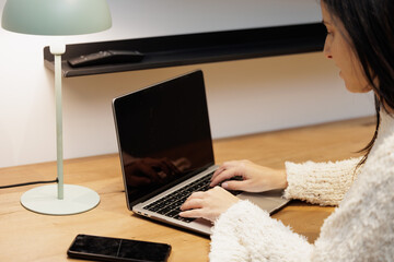 Young woman with her cell phone and laptop. A teacher preparing for the year's exams and syllabus. An entrepreneur organizing meetings with partners and clients.