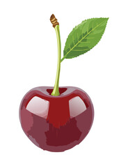 Red Cherry Fruit - Vector Illustration 