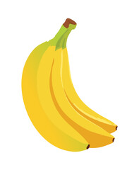 Vector Illustration Yellow Banana Fruit