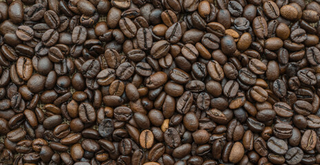roasted coffee beans in full screen