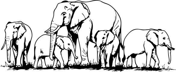 elephant family vector mono color design