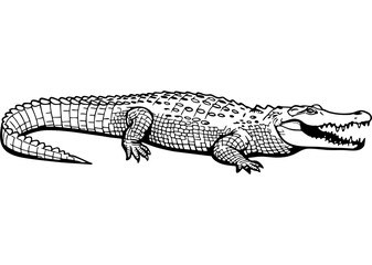 crocodile vector mono color design