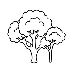 tree canopy icon, tree canopy line art - simple line art of tree canopy, perfect for tree canopy logos and icons