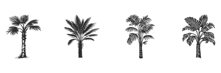 Palm Tree Silhouette Set. Tropical Foliage And Nature Elements Isolated Vector Illustration Collection