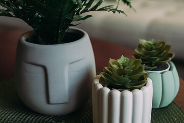 A pot in the form of a statue from Easter Island. Pots of unusual shape with succulents. Pots of flowers on the coffee table in the living room