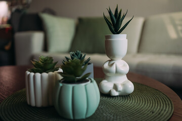 Flower pots with succulents on the coffee table. A pot in the form of a man in the lotus position. Pots of unusual shape