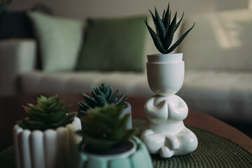 Flower pots with succulents on the coffee table. A pot in the form of a man in the lotus position. Pots of unusual shape