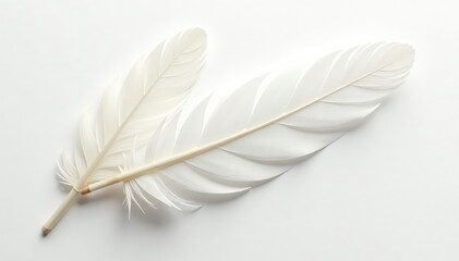 Obraz premium Crisp white feathers on seamless white background, texture, macro
