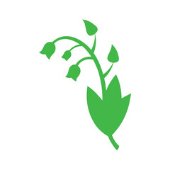 green plant on white background