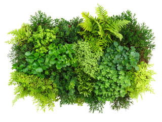 Obraz premium Lush Green Vertical Garden: A Vibrant Display of Diverse Foliage and Greenery
