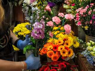 Florist arranging colorful flowers in a flower shop