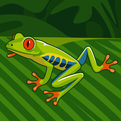 Colorful Tree Frog Vector Illustration on Leaf
