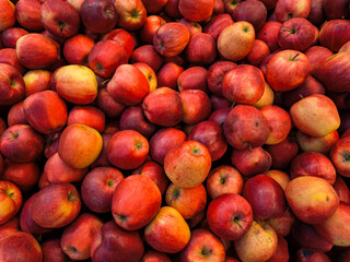 Red apples forming a colorful display at a farmer's Holesovice market in Prague, Czech republic, wallpaper, copy space
