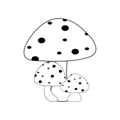 Cute Mushroom Illustration