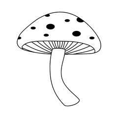 Cute Mushroom Illustration