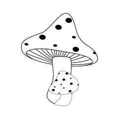 Cute Mushroom Illustration