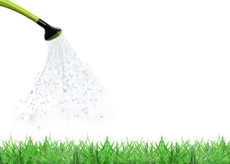 Watering can pouring water onto green grass against white background. Gardening