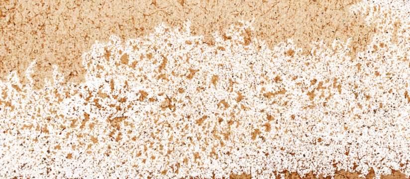 Brown Paper Grunge Texture Overlay with Torn Edge and Transparent Background