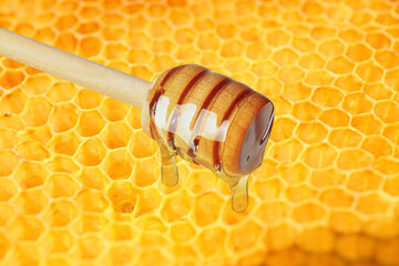 Honey dripping from dipper near filled honeycomb, closeup